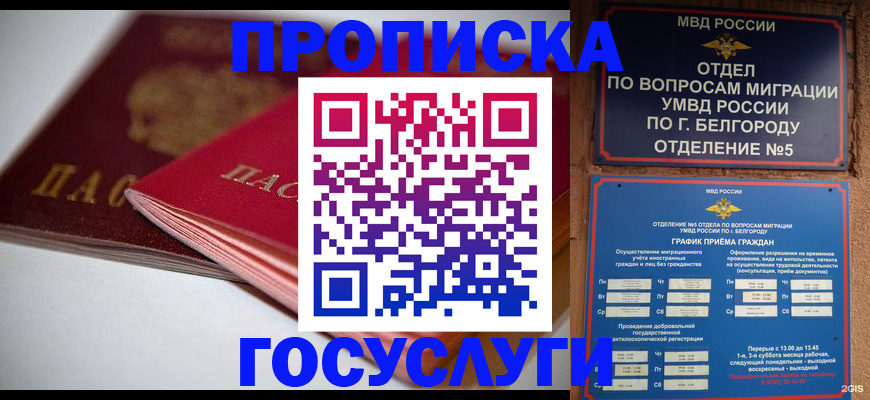временная регистрация собственник в Кингисеппе